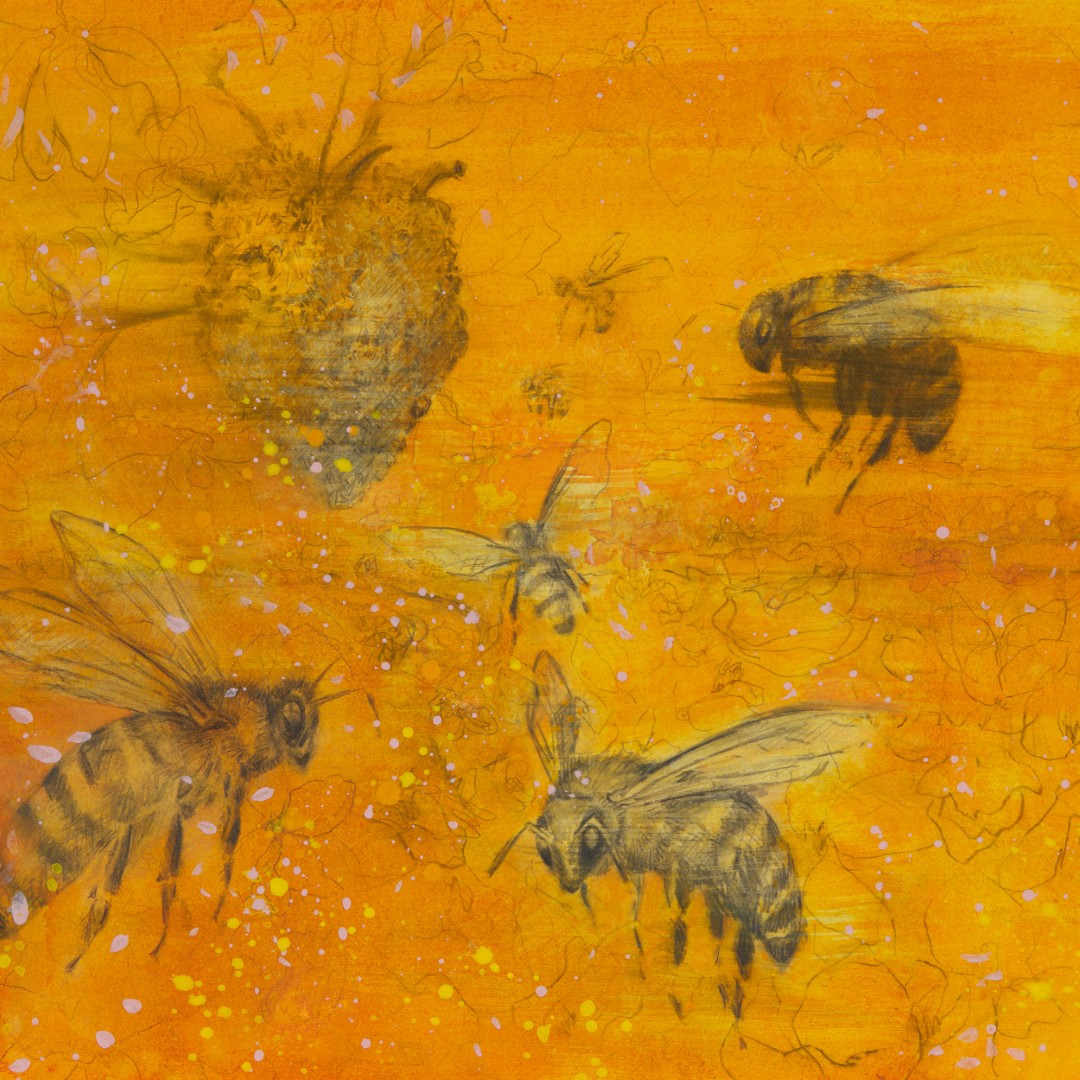 Bees for Peace